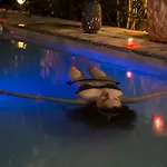 Hospederia Banos Arabes De